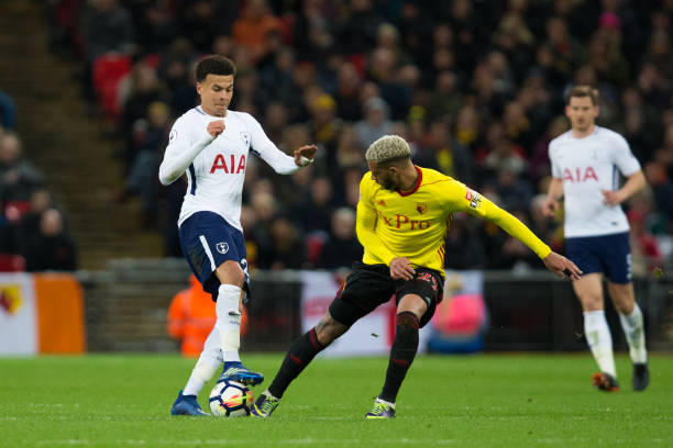 迷描绘了可 迷描绘了可